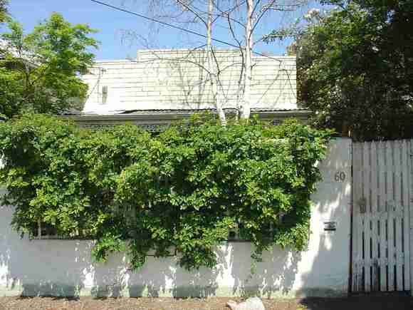 fitzroy north clauscen street fitzroy north clauscen street 60