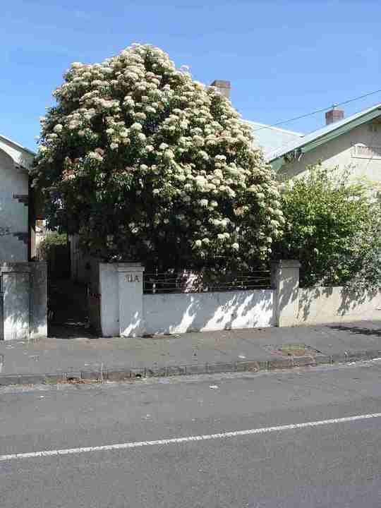 collingwood easey street collingwood easey street 91a