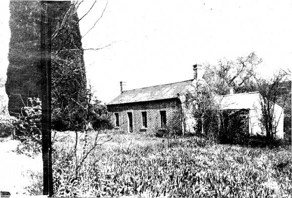 211 - Shillinghaw Cottage Main Rd Eltham 02 - Shillinglaw Cottage photographed on its original site - Note the local stone section, possibly the kitchen, and the size of the pencil pine trees (ELHPC No. 667/668/733-736) - Shire of Eltham Heritage Study 1992 
