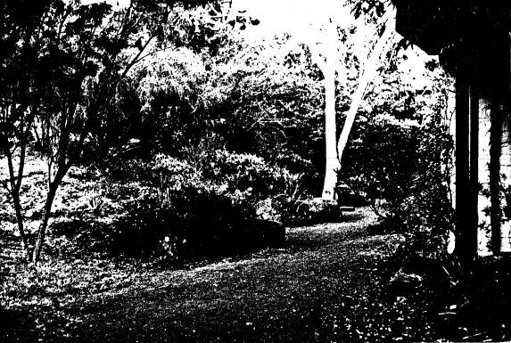 224 - Coller House 185 Mount Pleasant Rd Eltham 02 - Shire of Eltham Heritage Study 1992