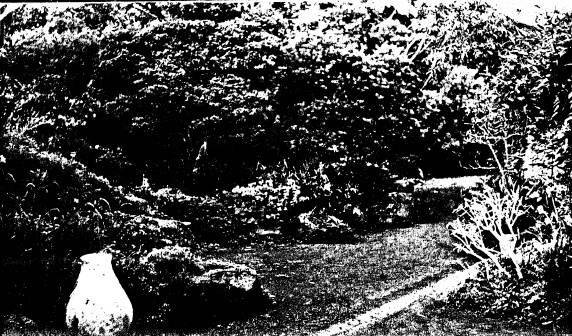 224 - Coller House 185 Mount Pleasant Rd Eltham 04 - Shire of Eltham Heritage Study 1992