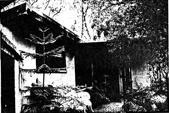 243 - Pise House 7 Peter St Eltham - Shire of Eltham Heritage Study 1992