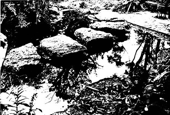 250 - Gordon Ford Property and Garden Eltham 02 - Shire of Eltham Heritage Study 1992