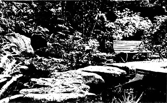 250 - Gordon Ford Property and Garden Eltham 03 - Shire of Eltham Heritage Study 1992