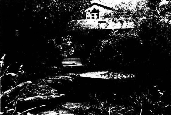 250 - Gordon Ford Property and Garden Eltham 04 - Shire of Eltham Heritage Study 1992