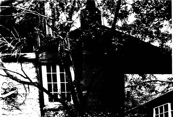 250 - Gordon Ford Property and Garden Eltham 05 - Shire of Eltham Heritage Study 1992