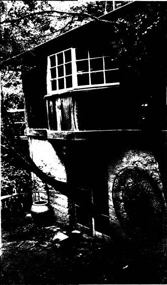 250 - Gordon Ford Property and Garden Eltham 06 - Shire of Eltham Heritage Study 1992