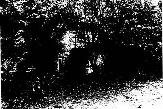 250 - Gordon Ford Property and Garden Eltham 08 - Shire of Eltham Heritage Study 1992