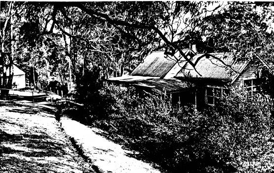 259 - Strathewen Primary School 02 - Shire of Eltham Heritage Study 1992