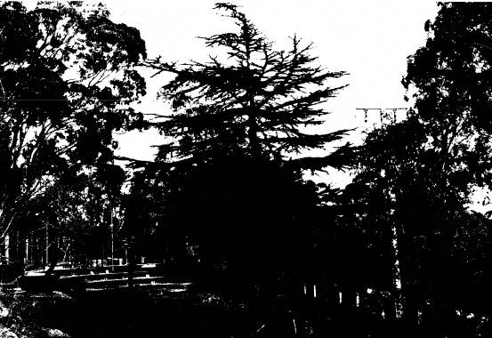 259 - Strathewen Primary School 06 - Shire of Eltham Heritage Study 1992