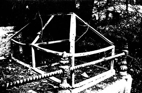 263 - Queenstown Cemetery 05 - Shire of Eltham Heritage Study 1992