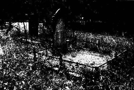 263 - Queenstown Cemetery 09 - Shire of Eltham Heritage Study 1992