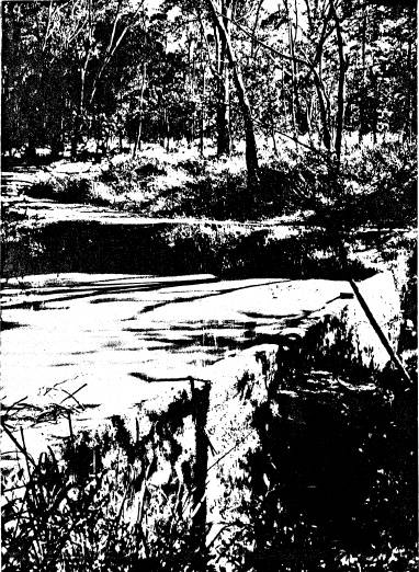 264 - State Battery Remans Smiths Gully - Shire of Eltham Heritage Study 1992