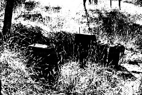 264 - State Battery Remans Smiths Gully 04 - Shire of Eltham Heritage Study 1992