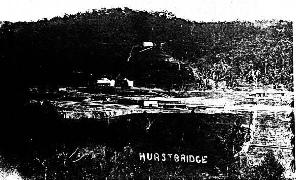 278 - Hurstbridge Railway Station Building 10 - Hurstbridge Railway Station photographed early this century - not long after the station opened? (ELHPC NO.1004) - Shire of Eltham Heritage Study 1992
