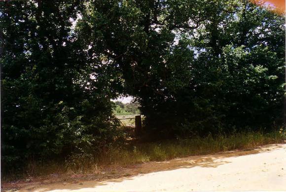 GW 39 - Shire of Northern Grampians - Stage 2 Heritage Study, 2004