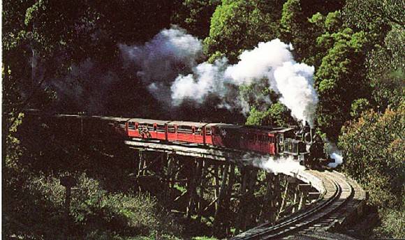 B2960 Puffing Billy Trestle Bridge 