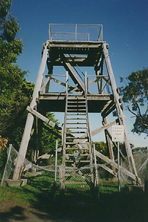 B6917 Belmont Lookout Tower 