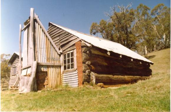 B5856 Horsehair Hut