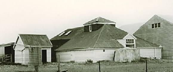 B5488 Woolshed Baangal
