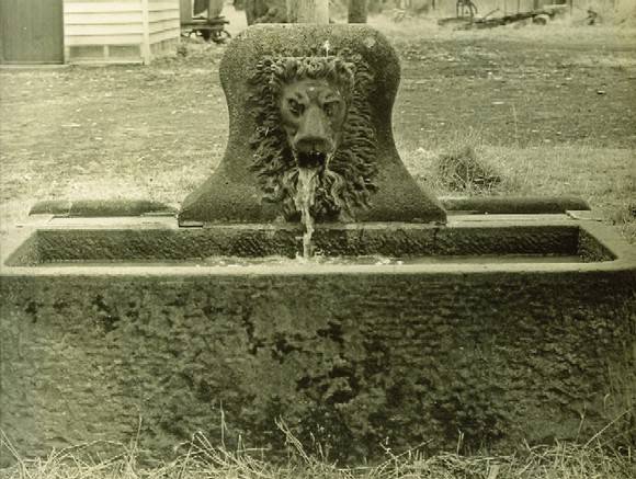 B1258 Horse Trough Titanga Homestead
