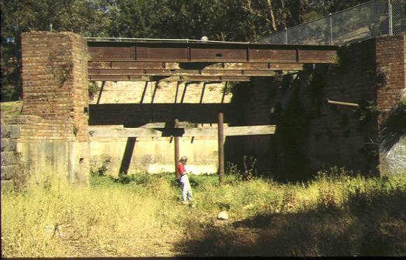 dights mill site dights falls abbotsford front view of mill dec1994