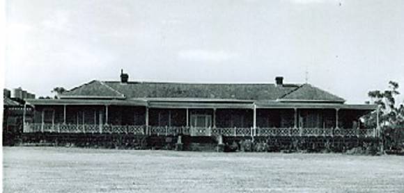 B1097 Wooloomanata