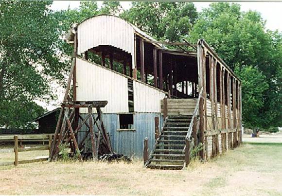 B7105 Grandstand 