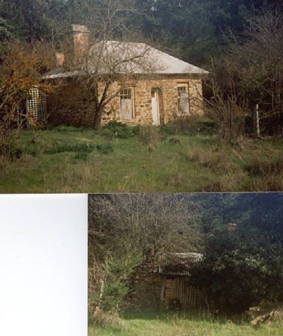 B5627 Cottage & Earth & Sapling Kitchen 