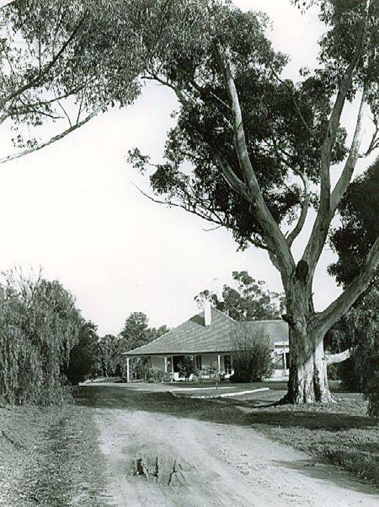 B4813 Wallalloo Park