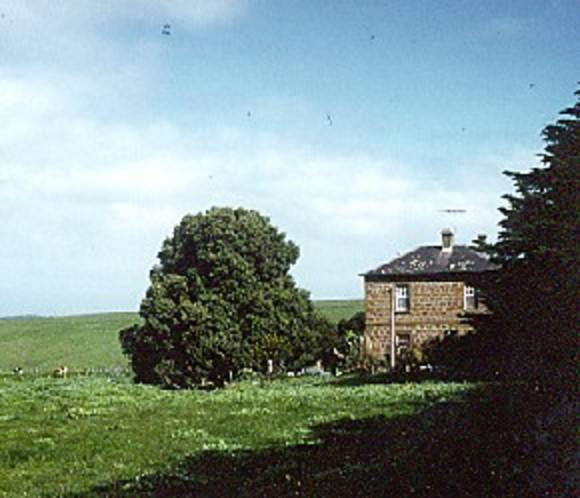 B4433 Prospect 