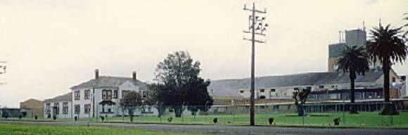B6203 Nestle's Factory 