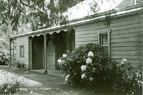 B4603 Reedy Creek 