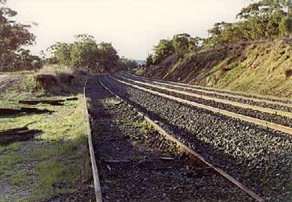 B6506 Ravenswood Siding 