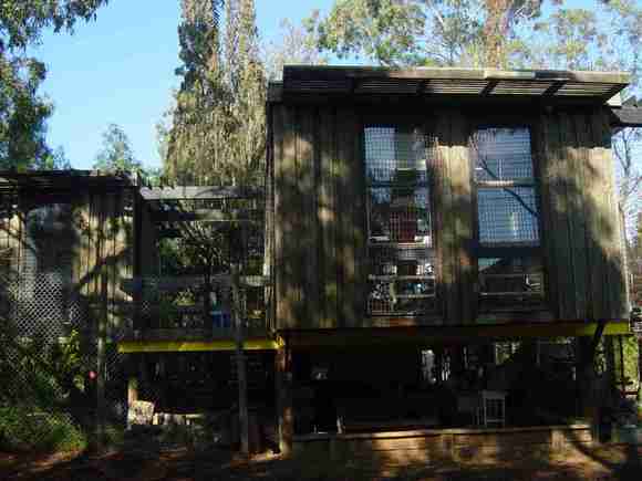 B7262 Preshil Tree House from south
