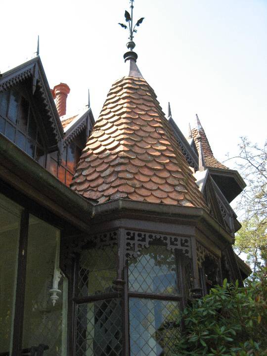 Tay Creggan_Hawthorn_turret_KJ_Feb 09  