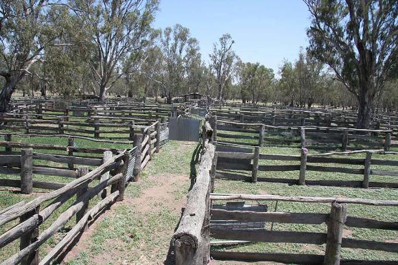 PROV H2212 Barmah Yards Dec 08 PM2
