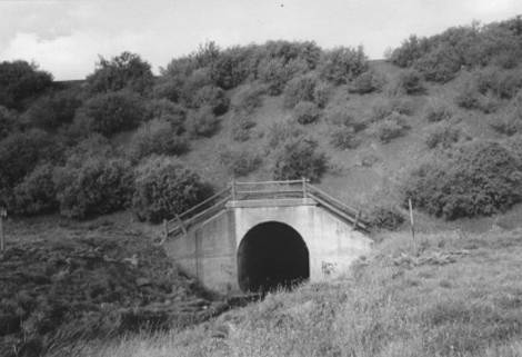 1960 - Brimbank City Council Post-contact Cultural Heritage Study 1998