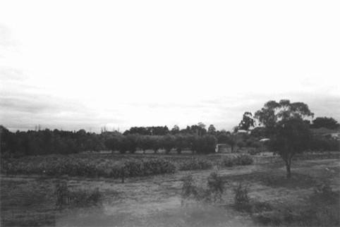 2069 - Brimbank City Council Post-contact Cultural Heritage Study 1997
