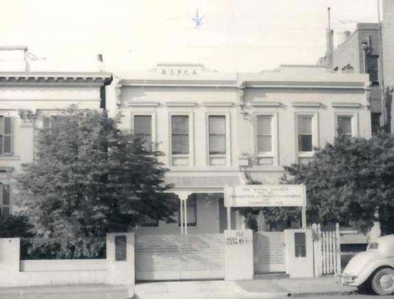 B1669 110 - 112 Wellington Parade East Melbourne
