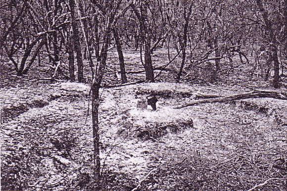 SM 08 - Puddler and Dam No. 2, Victoria Gully, Kara Kara State Park, STUART MILL
