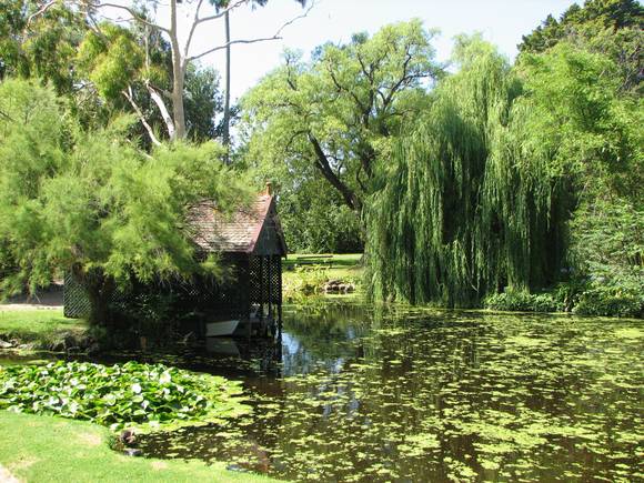 RIPPON LEA SOHE 2008