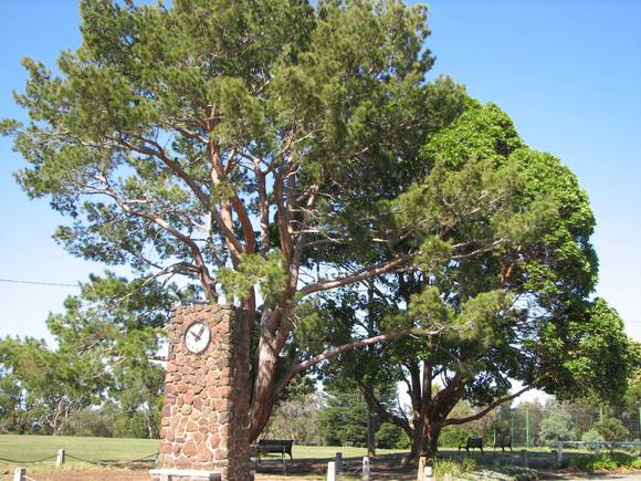 WATTLE PARK SOHE 2008