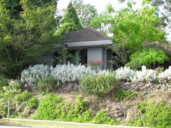 MURRAY GRIFFIN HOUSE SOHE 2008
