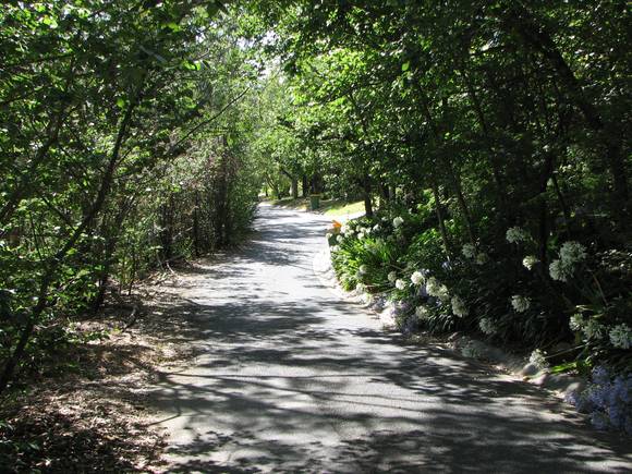 MOUNT EAGLE  ESTATE SOHE 2008