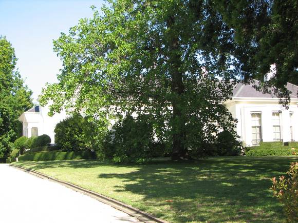 CRANLANA SOHE 2008