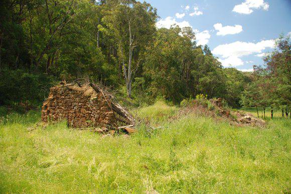 LYREBIRD GULLY HOP KILN SOHE 2008