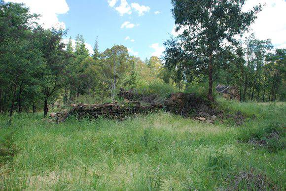 LYREBIRD GULLY HOP KILN SOHE 2008