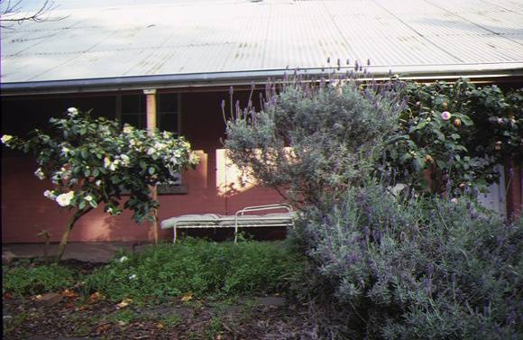 1 burswood portland rear view courtyard garden