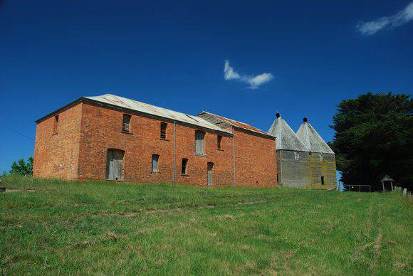 MOSSIFACE HOPKILNS SOHE 2008